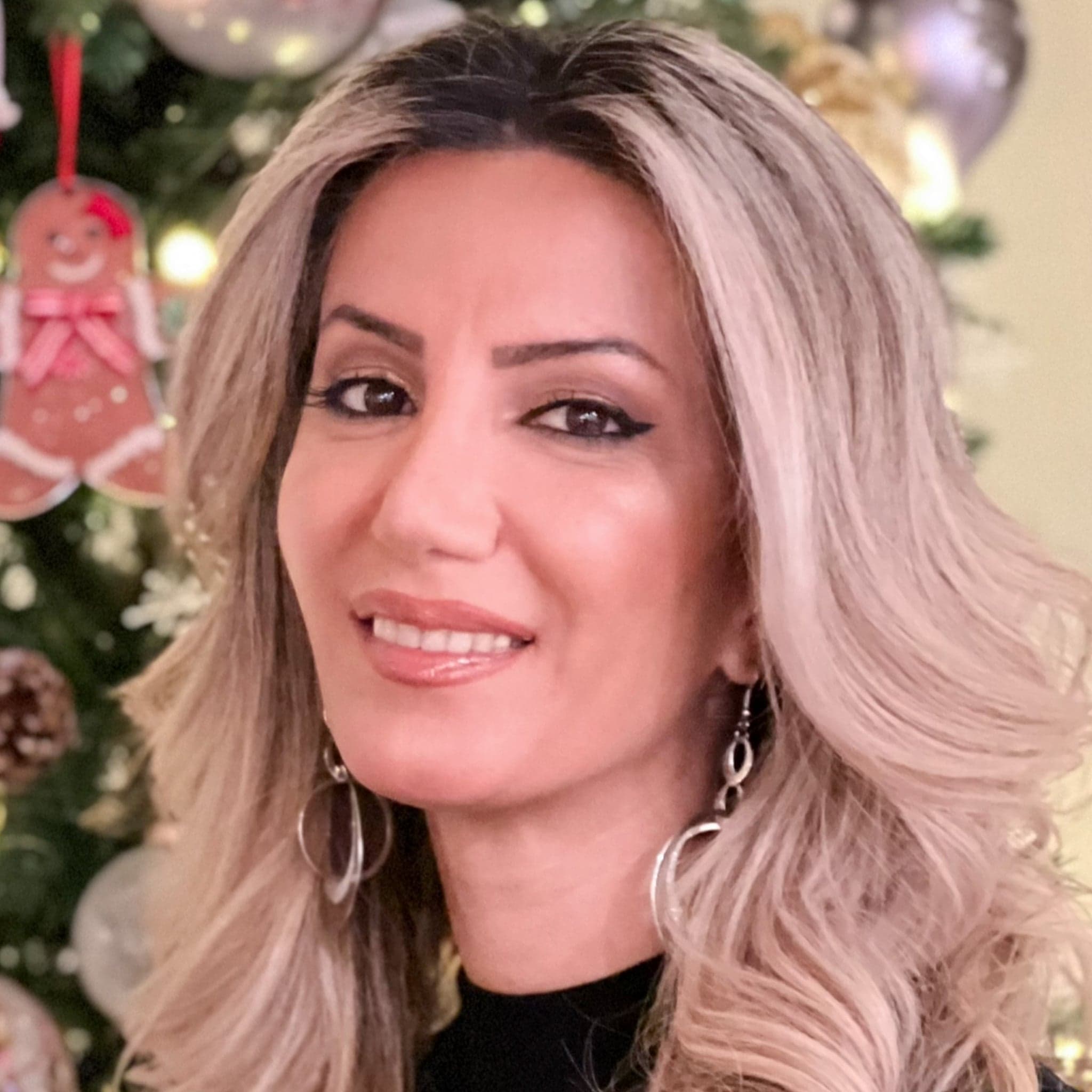 Anni Ebrahimi avatar